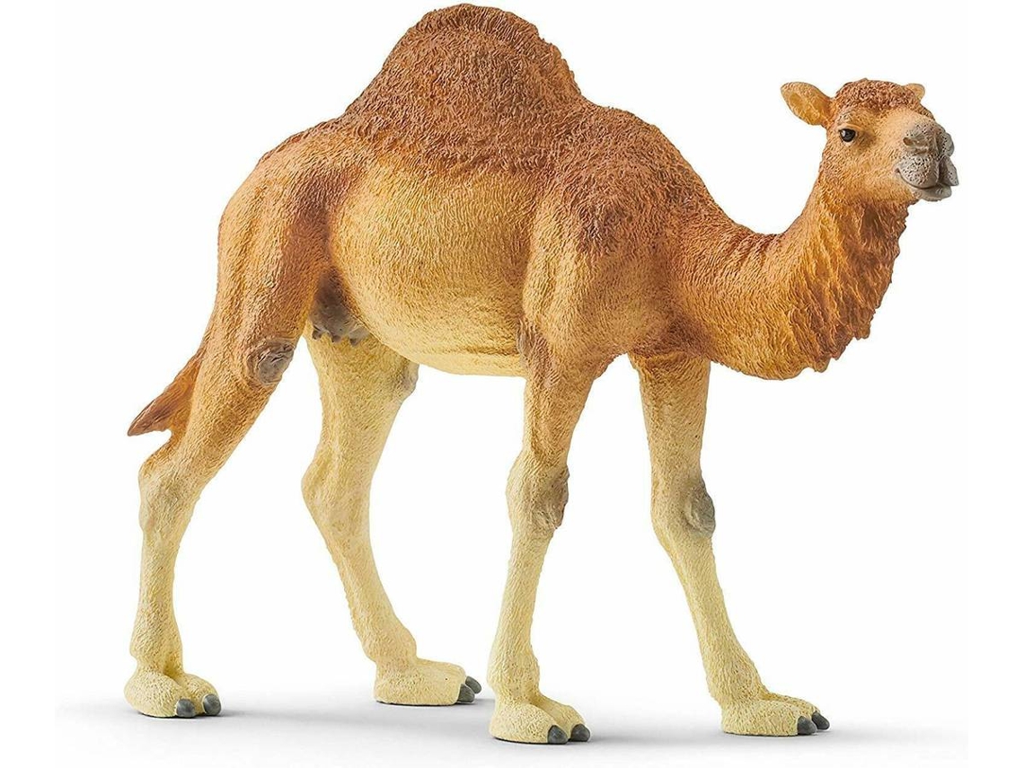 Figura SCHLEICH Dromedario (3 años)