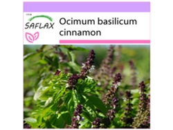 SAFLAX Albahaca canela 200 semillas Ocimum basilicum cinnamon