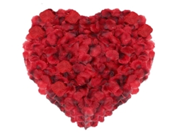 Pétalos De Rosa Roja Artificial De Seda, 1 Kg, 4000 Piezas, Decoración Romántica Para Bodas Y Fiestas.