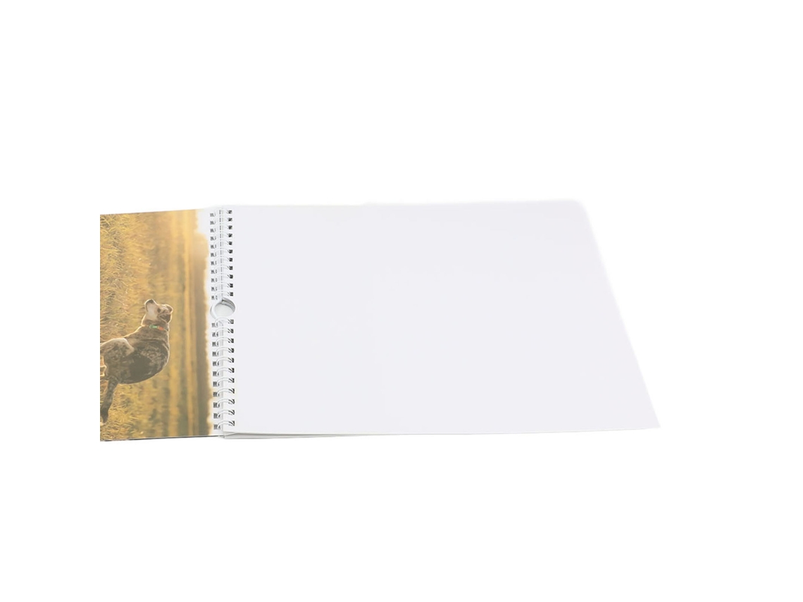 Calendario De Pared 2025 Con Divertido Estampado De Perro, Planificador Colgante, Regalo Familiar, Papel Grueso.