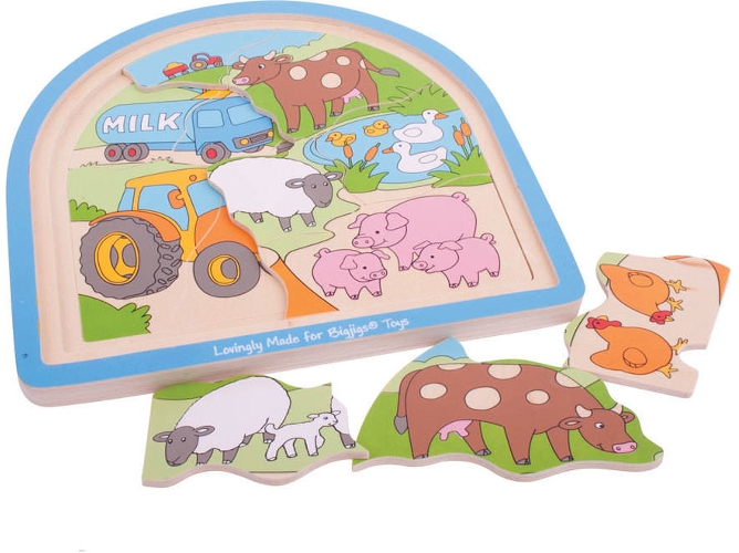Juguete BIGJIGS TOYS BJ589