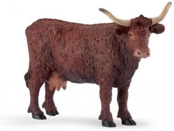 Figura PAPO Vaca Salers