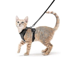 2026-arnés Y Correa Para Gatos, Arnés Suave Ajustable Anti Escape, Respirable Para Paseos Al Aire Libre