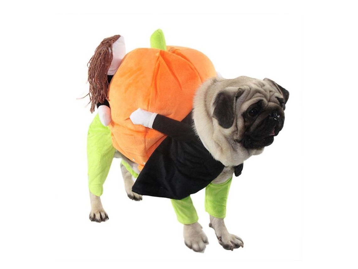 Disfraz de calabaza Rebe para perros, atuendo de cosplay de Halloween para eventos especiales, disfraz para mascotas Ayy