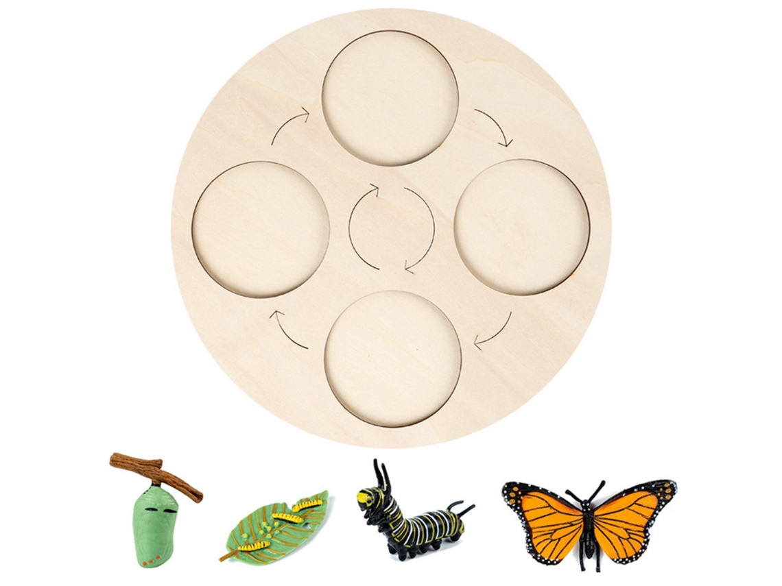 2026-kit Ciclo De Vida De Insectos Con Bandeja De Madera Herramientas Didácticas Para Niños Proyecto Escolar Educativo