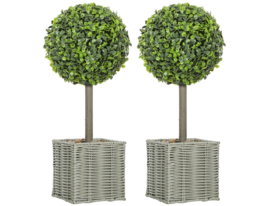 2 Plantas De Árbol Uv En Macetas De Plástico Y Cemento Verde
