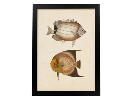 Póster NACNIC de Dos Peces Marron y Naranja en , Fondo Papel Vintage.