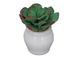 Rebe-plantas En Maceta Miniatura Para Casa De Muñecas 3cm Decoración Diy Portátiles Juguete Ornamentos