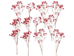 12 flores secas de Baby Alien para decoración DIY