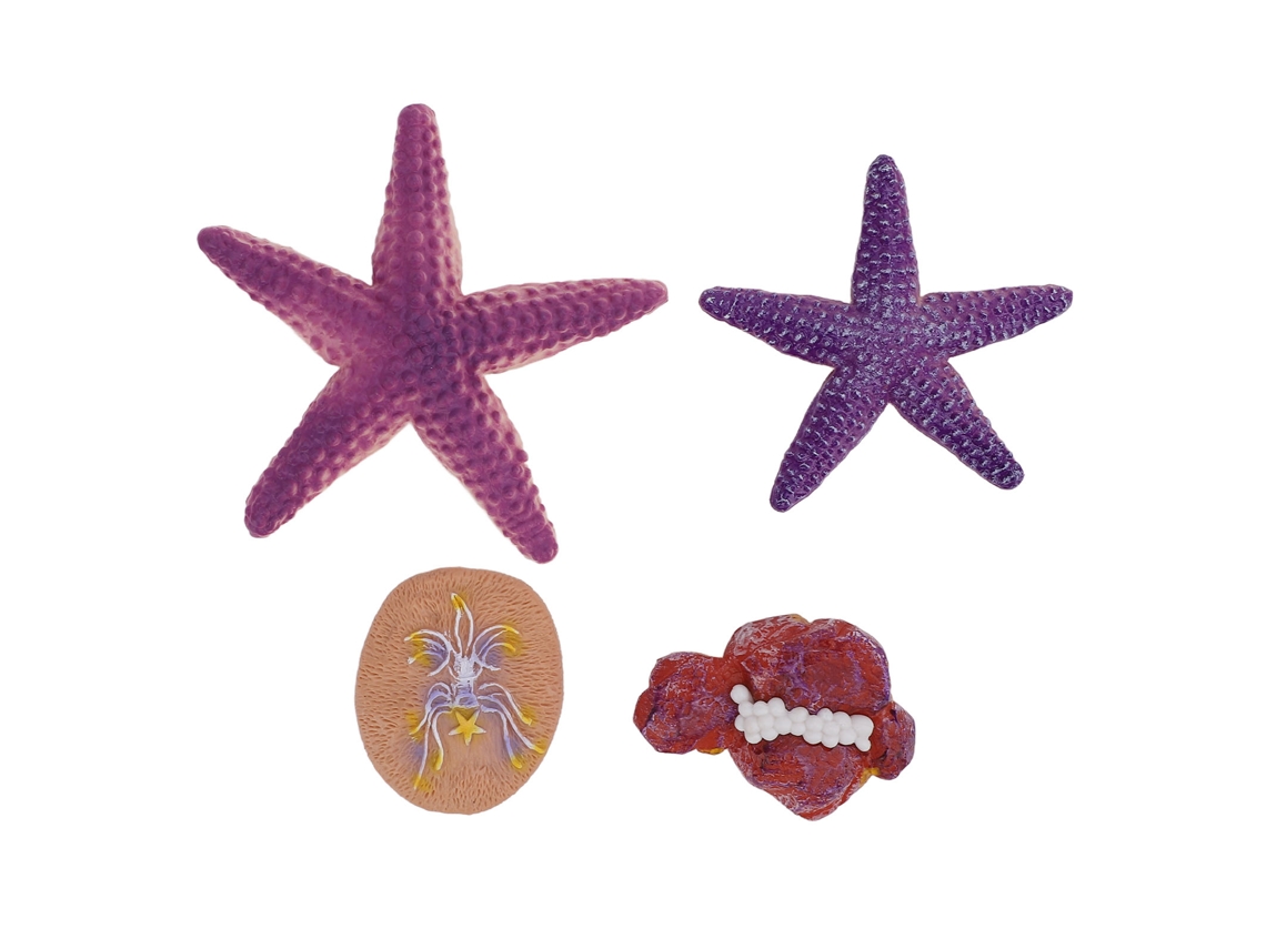 Figuras De Estrellas De Mar Simuladas, Juguete Educativo, Animal Marino Decorativo De Pvc Para Niños De 3 Años En Adelante.