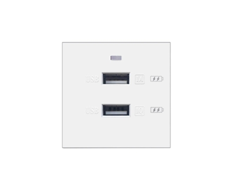 Interruptores de Luz de Pared Sólo Enchufe Interruptor de Función SLOWMOOSE (2 Usb)