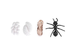 Brinquedo Educativo Ciclo De Vida Inseto Vinil Formiga Mosquito Modelo M4183