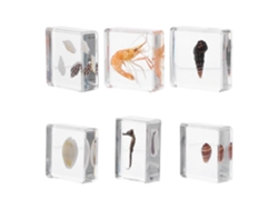 Conjunto De 6 Figuras Realistas De Resina Que Representan Animales Marinos, Ideal