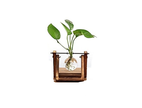 Jarrón de Vidrio para Flores HOD Health and Home