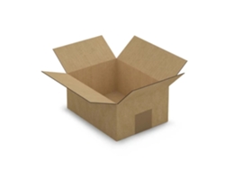 20 cajas de embalaje de 20 x 20 x 11 cm - Flauta simple