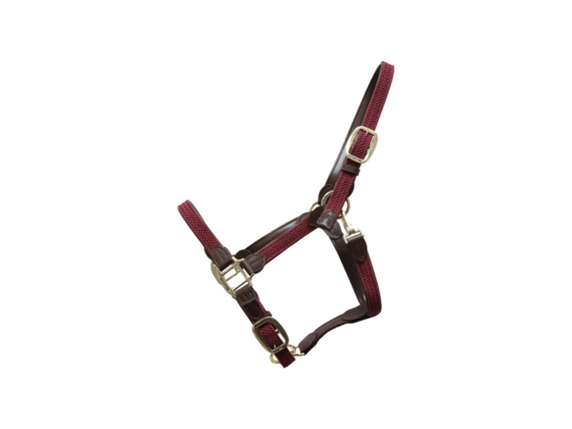 Cabezada para caballos nylon trenzada Kentucky