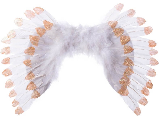 Alas DISFRAZZES Ángel Blancas Y Doradas (55 x 40 cm)