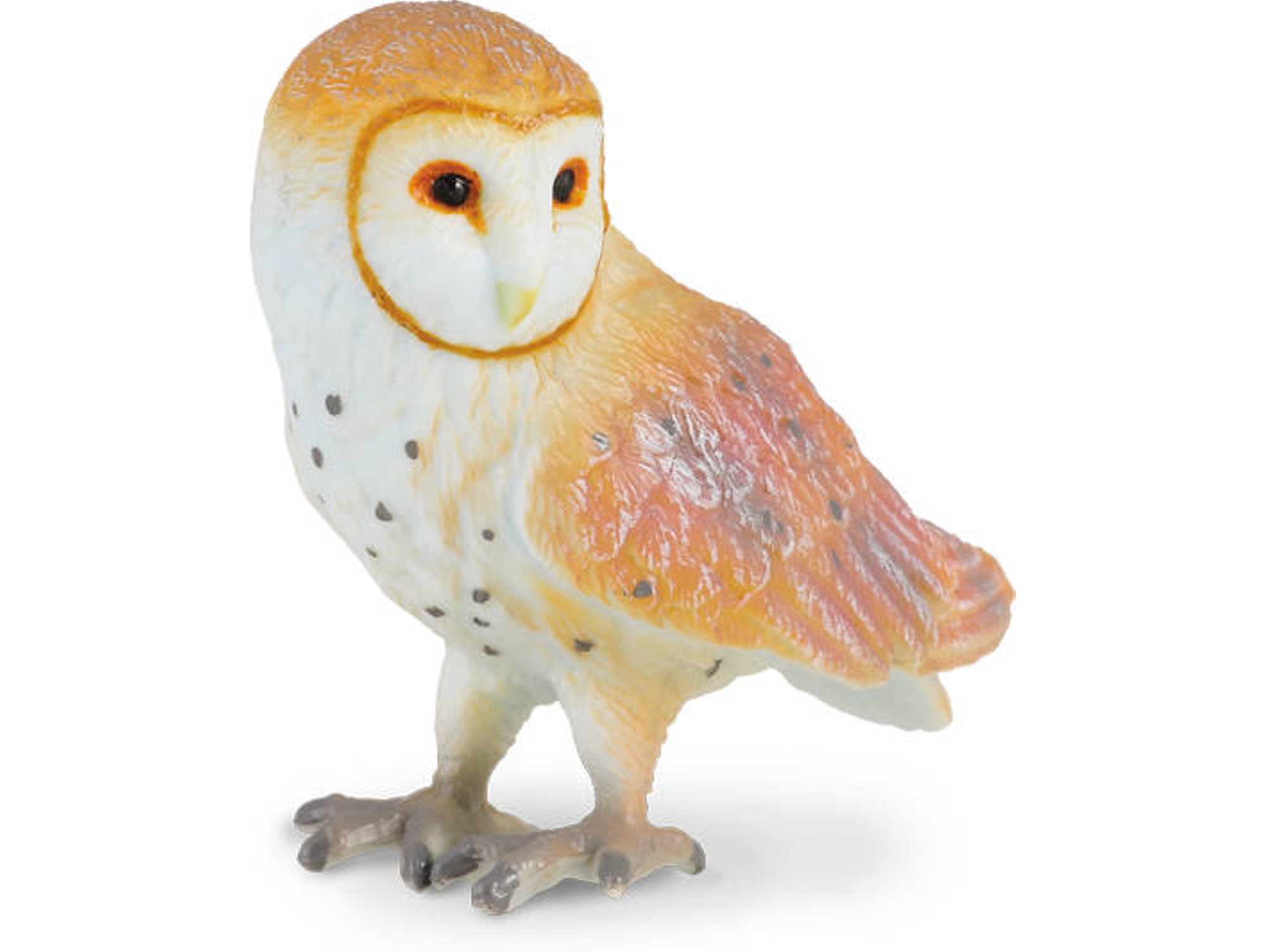 Figura COLLECTA Coruja-das-torres