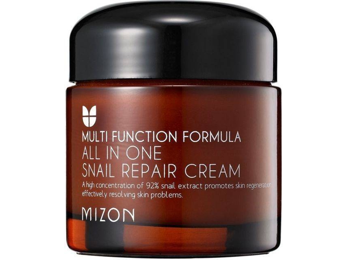 Crema Facial MIZON All in One Snail Repair (75 ml)