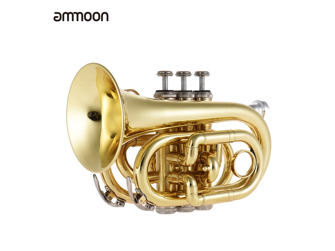 Cornet (Cuaderno y Miniatura, Con Accesorios)