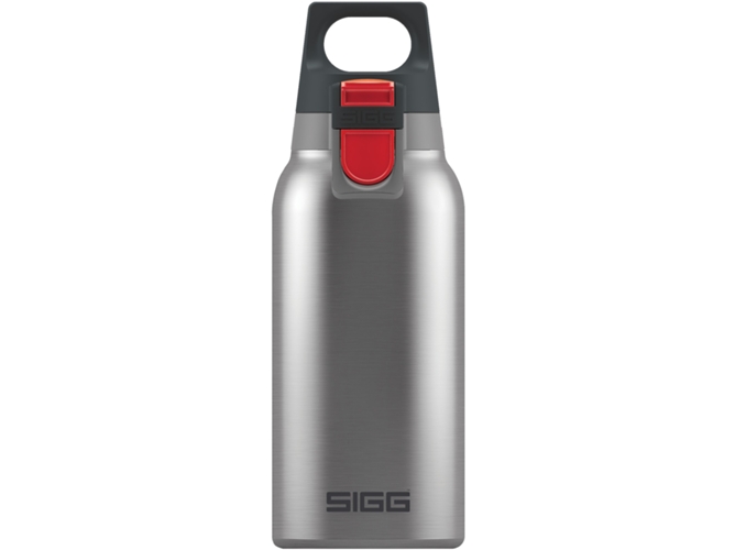 Botella Térmica SIGG Hot & Cold One Plateado 0.3l