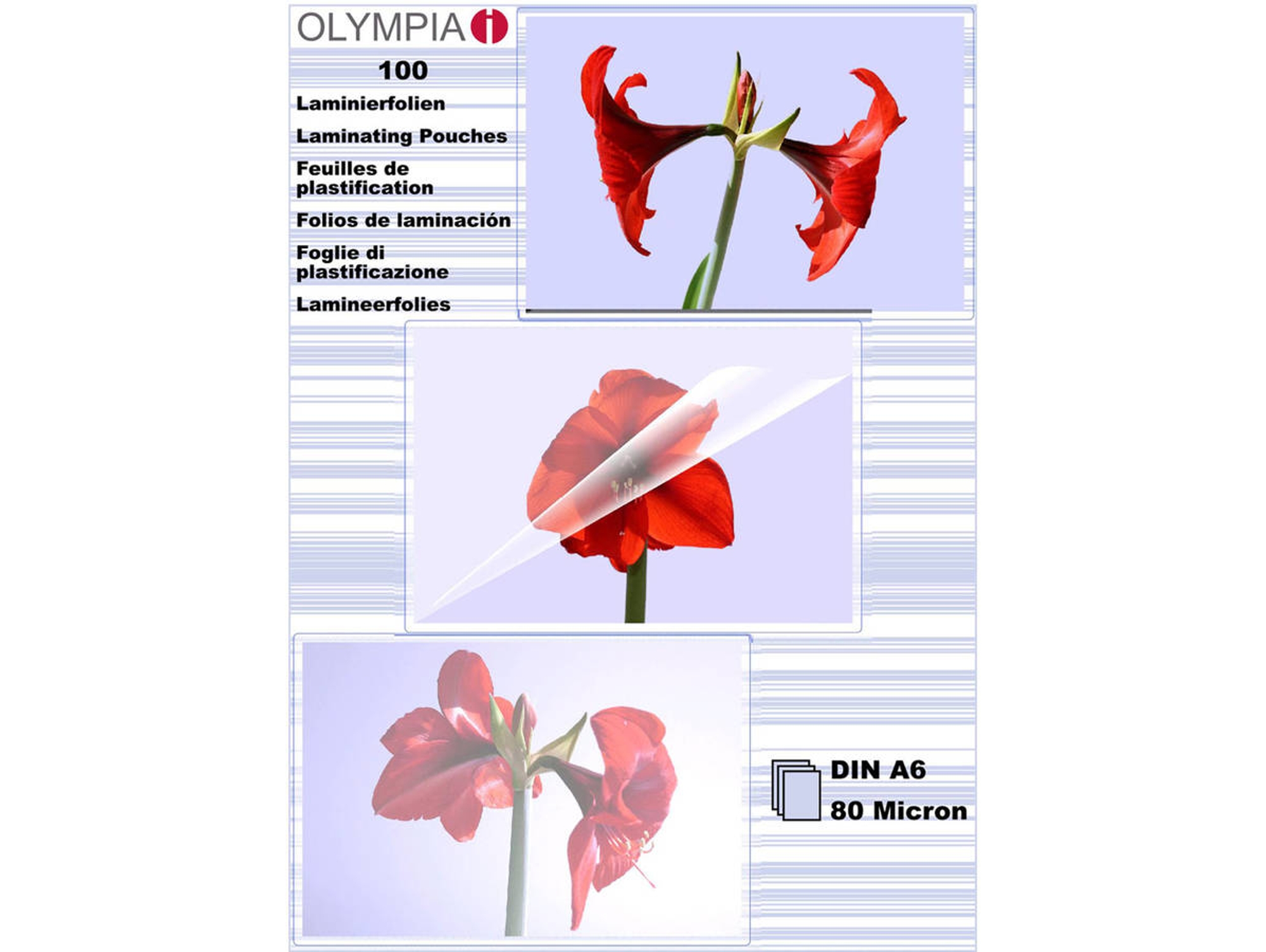 Fundas de Plastificar OLYMPIA 1 x 100 DIN Transparente (100 un - A6)