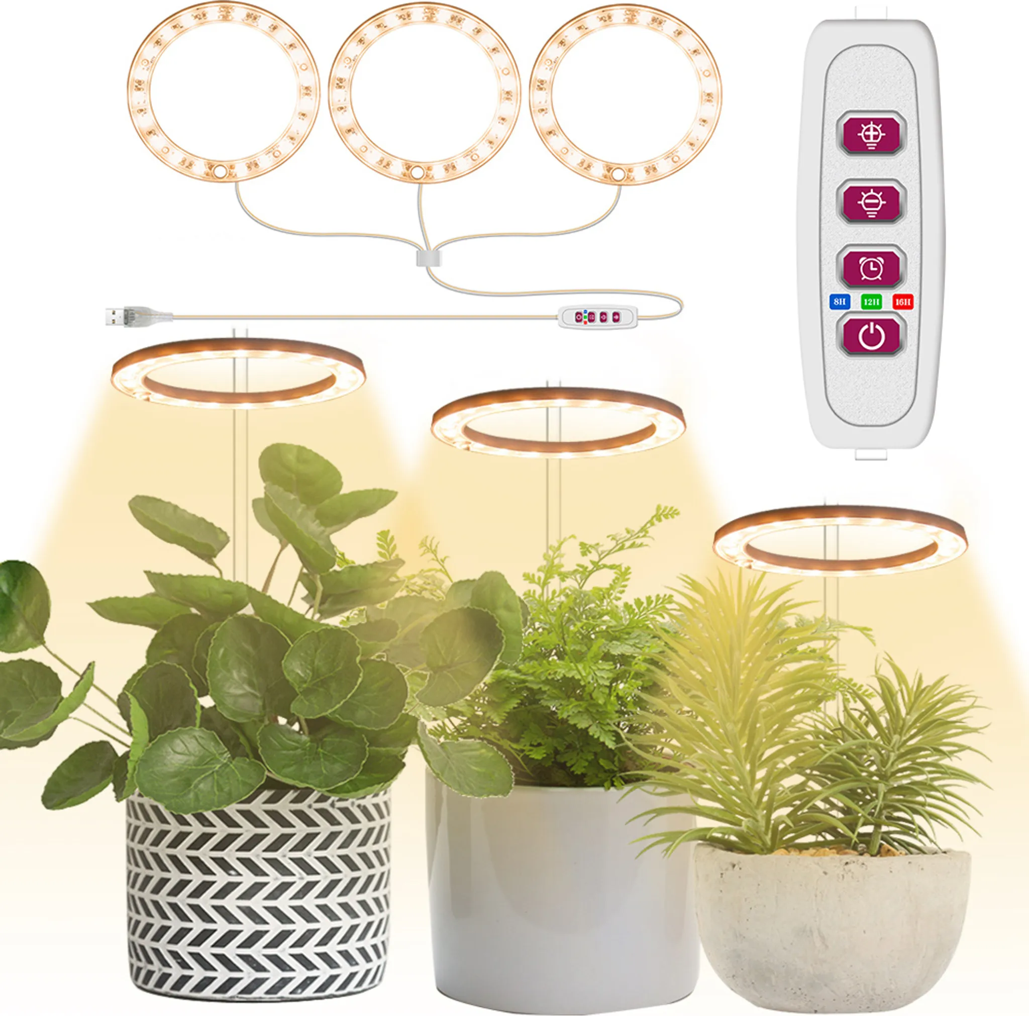 Anillo Led Cálido - Triple Cabeza