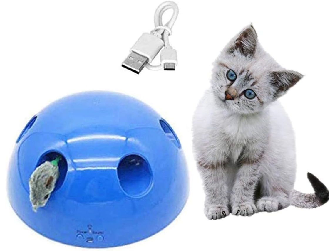 Juguetes interactivos para gatos Juguetes automaticos para gatos Gatito Atrapa el raton Juego Juguete electrico para gatos Juguete multifuncion para rascar gatos Carga USB Azul Worten.es