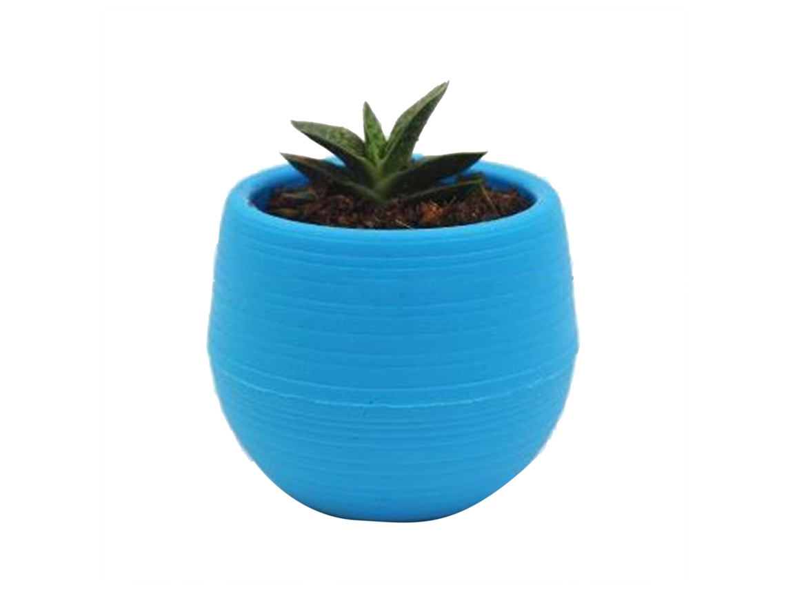 Maceta De Plástico Para Plantas Suculentas Y Plantines Mini Contenedor Floral Para Jardín Balcón Azul