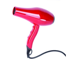 PERFECT BEAUTY Secador de pelo profesional Air Drive