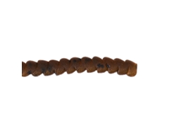 Señuelo para truchas TROUT MASTER Spring Worm 4 mm