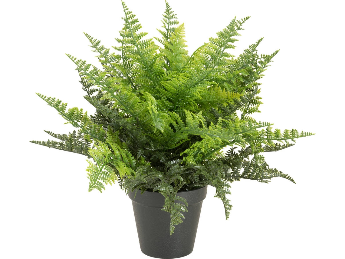 Planta Artificial EUROPALMS Fern (Verde - 48 cm)