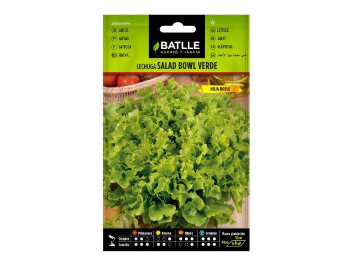 Semillas de lechuga para ensalada verde BATLLE