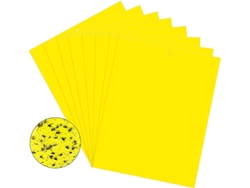 Trampa Pegajosa Para Plagas Flycatcher 20 Unidades Yellow