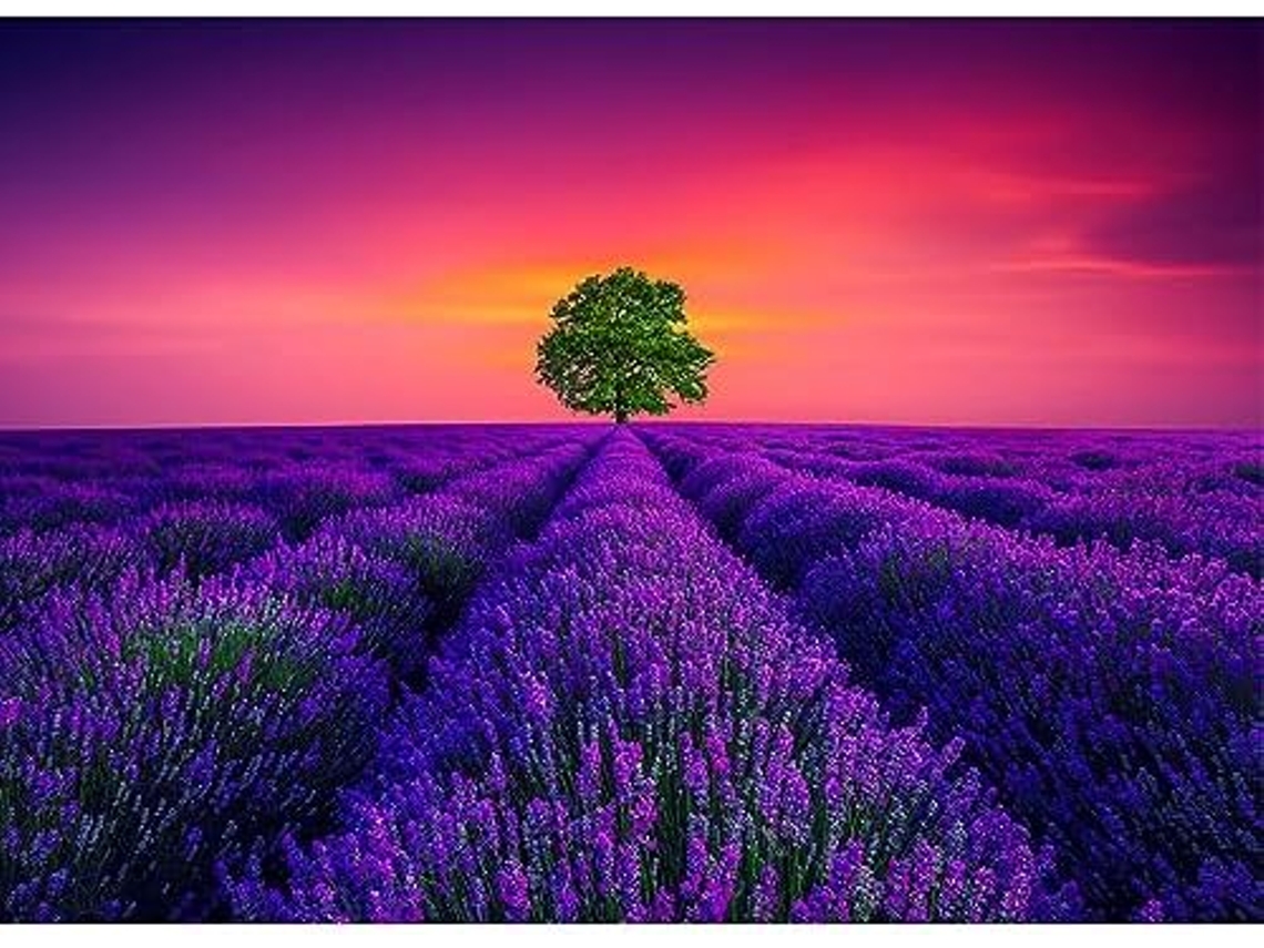 Rompecabezas Divertido Para Adultos De 1000 Piezas, Francia - Mar De Flores De Lavanda, Rompecabezas De Madera, Ideal Para El Cerebro (morad