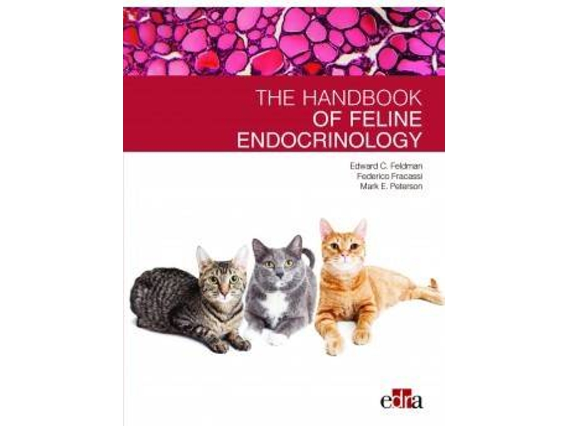 Libro Feline Endocrinology de Feldman, Edward et al. (Inglés)