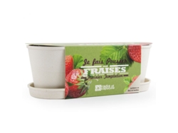 Jogo de Mesa RADIS ET CAPUCINE Strawberries In A Bamboo Window Box (4 Anos)
