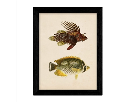 Set De 4 Láminas De Peces Coloridos Efecto Vintage. Composicion De 11 Peces Diferentes, Fondo Papel Antiguo Vintage. Sin Marco