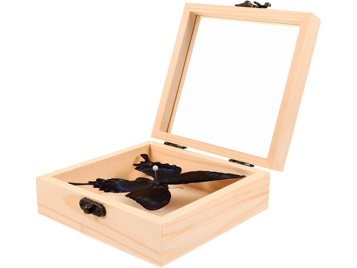 Juego Exhibición Lepidópteros Ejemplar Decorativo Madera Transparente Protección Presentación Insectos Regalo
