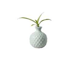 Jarrón De Cerámica Verde Claro Con Forma De Macaron Para Arreglos Florales Hidropónicos Linjou