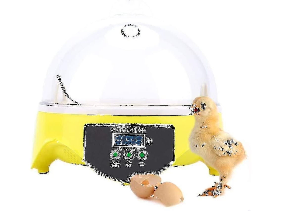 Incubadora Automática Digital Para 7 Huevos Con Volteo Automático De Sugoumei.