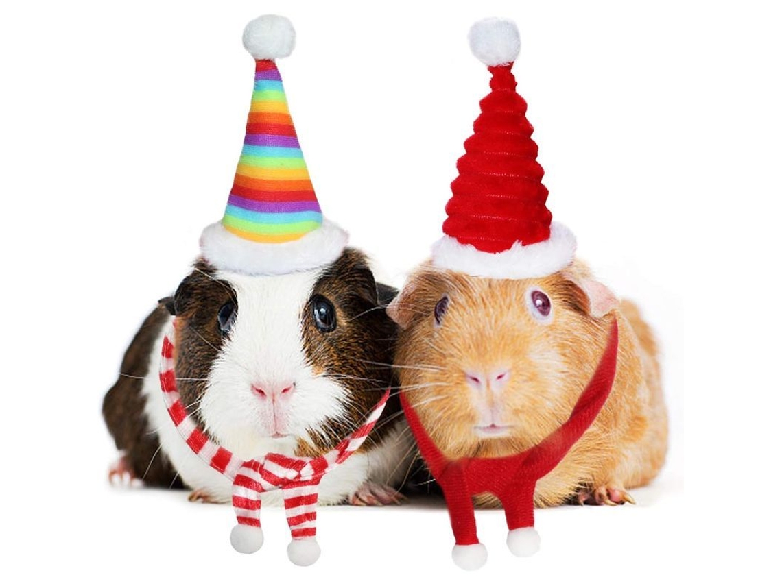 Disfraz Navideño Para Cobayas: Gorro Y Bufanda Navideños Para Mascotas De Tamaño Similar (4 Piezas).