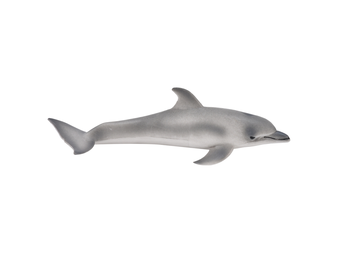 2026-figuras De Animales Marinos Modelo Educativo Decoración De Escritorio Ornamentos Coleccionables Juguete