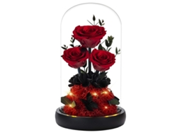 Rosas eternas en cúpulas de cristal Regalos de Navidad para mujeres Rosas preservadas para cumpleaños Esposa Madre Amiga Abuela