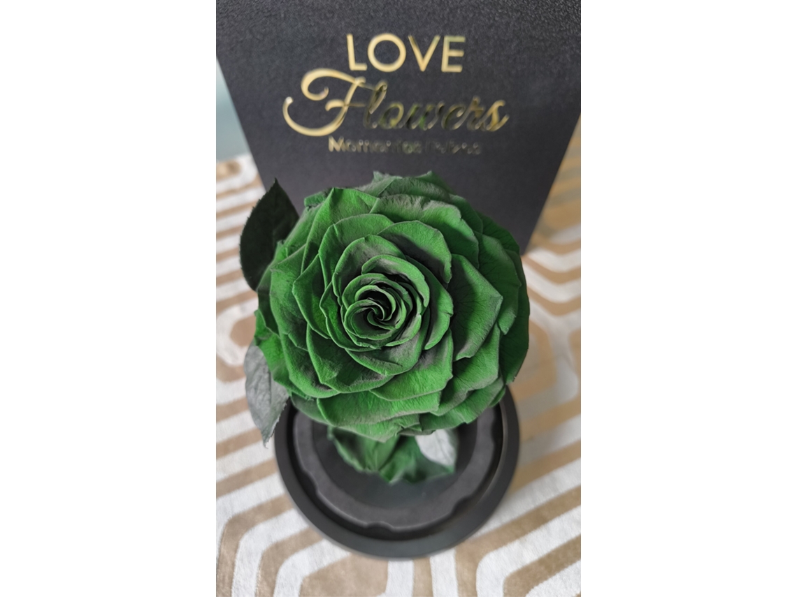 1 Rosa Natural Preservada La Bella y La Bestia Rosa Verde Esmeralda LOVE Flowers en Cúpula de Cristal - Colección Beauty Beast Rose