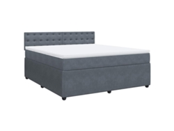 Maison Exclusive - Cama Box Spring Con Colchón Terciopelo Gris Oscuro 180x200 Cm