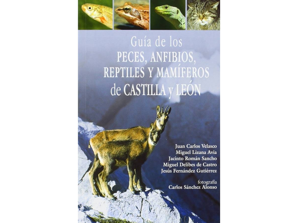 Libro Guía De Los Peces, Anfibios, Reptiles Y Mamiferos De Castilla Y León de Juan Carlos Velasco (Español)
