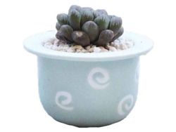 Mini Macetas Para Suculentas - Modernas - Cactus - Cerámica - Decoración De Interiores (verde)