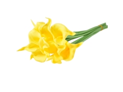 Mini lirio artificial en forma de copa de Baok, fabricado en PU con tacto realista, flor artificial para decoración del hogar y fotografía, color amarillo.