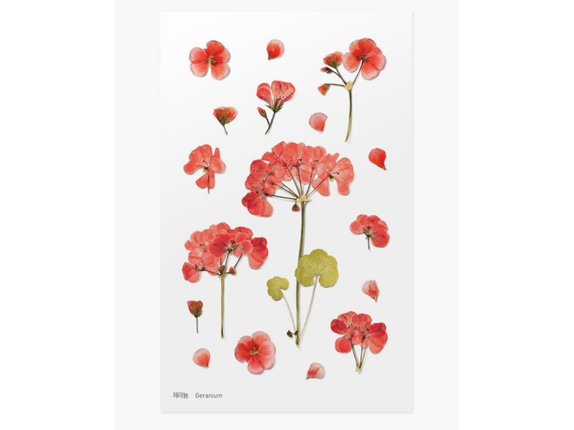 Pegatinas decorativas de flores de geranio de Appree